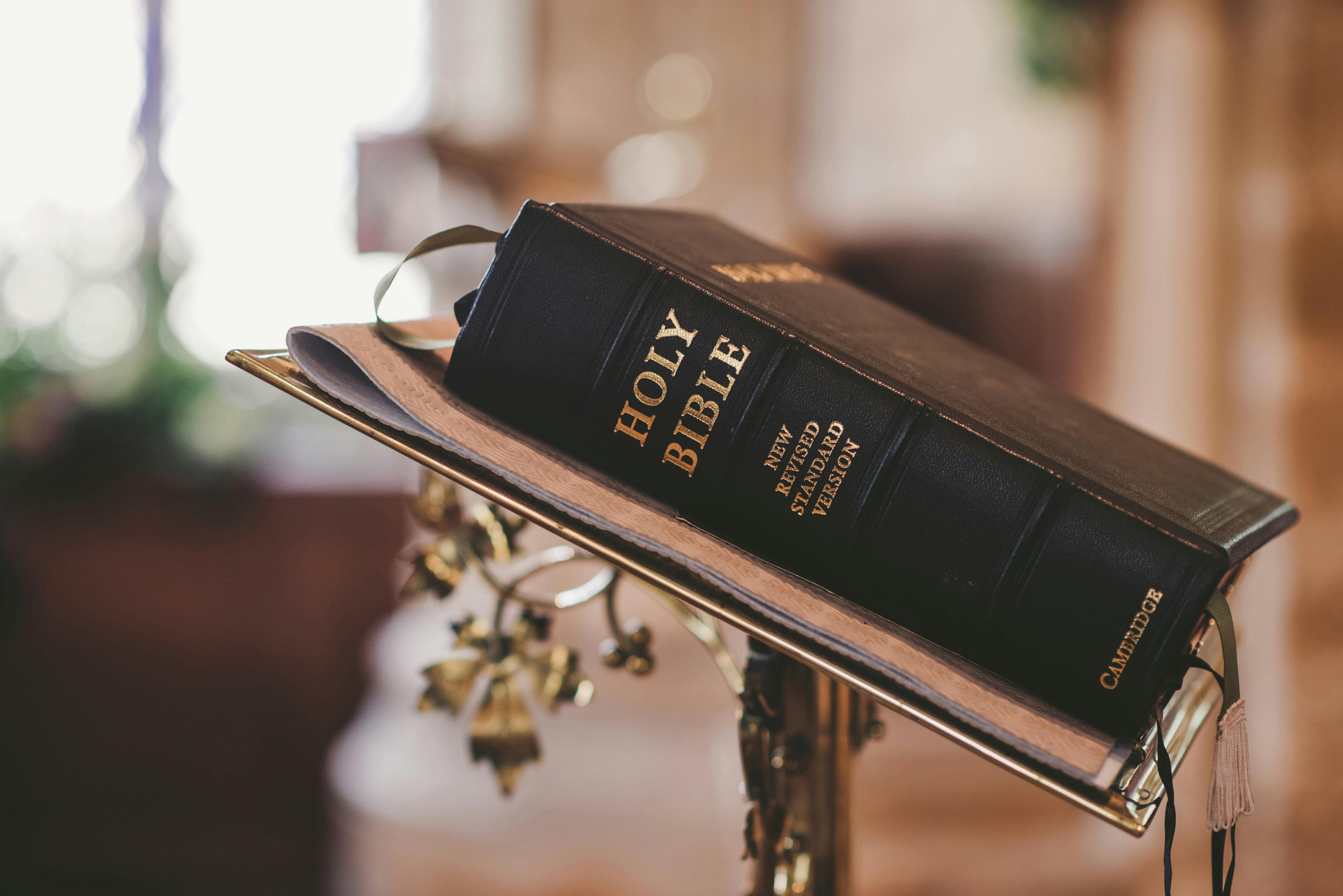 Salvation Through Faith Alone